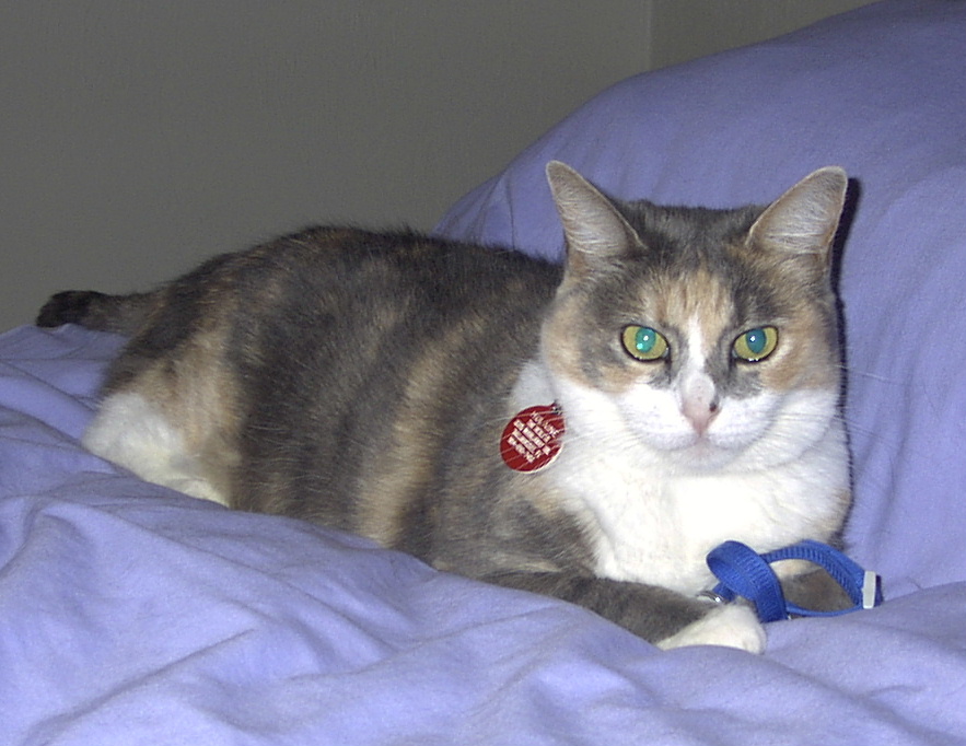 lainie1_may192002.jpg