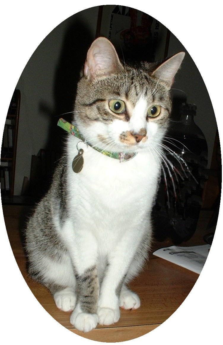 maxmay152002.jpg